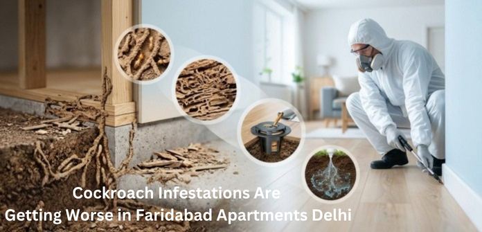 Cockroach Infestations Are Getting Worse in Faridabad Apartments Delhi
